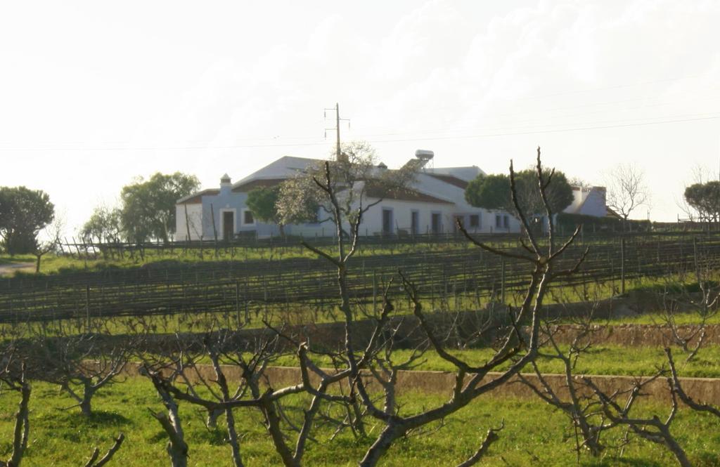 Casas Na Vinha - Monte Da Casteleja, Wine Estate - Eco Turismo Rural Lagos Exterior foto